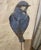 2020s Decorative Limited Edition French Wallpaper Panels of Birds For Sale - Image 5 of 8