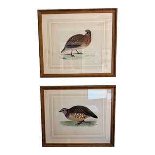 Chelsea House Giclée Prints – Pair – Barbary Partridge & Quail Birds Gold Framed For Sale