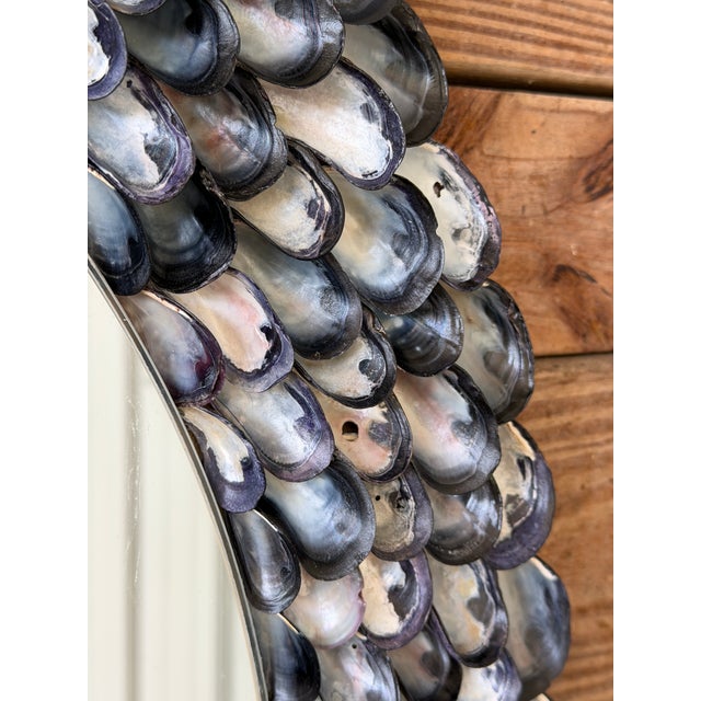 Glass Handmade Coastal Mussel & Cowrie Shell Layered Round Mirror For Sale - Image 7 of 12
