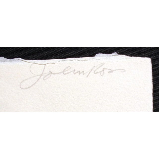 1970s John Ross "Monolith, Valley, Wall, Escarpment" Signed Collagraph Etchings Rust - Set of 4 For Sale - Image 12 of 12