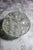 Transparent Reims France Crystal Flower Frog 19 Hole For Sale - Image 8 of 9