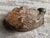 Stone Carved Stone Hippopotamus Group, Zimbabwe, Set of Three For Sale - Image 7 of 13