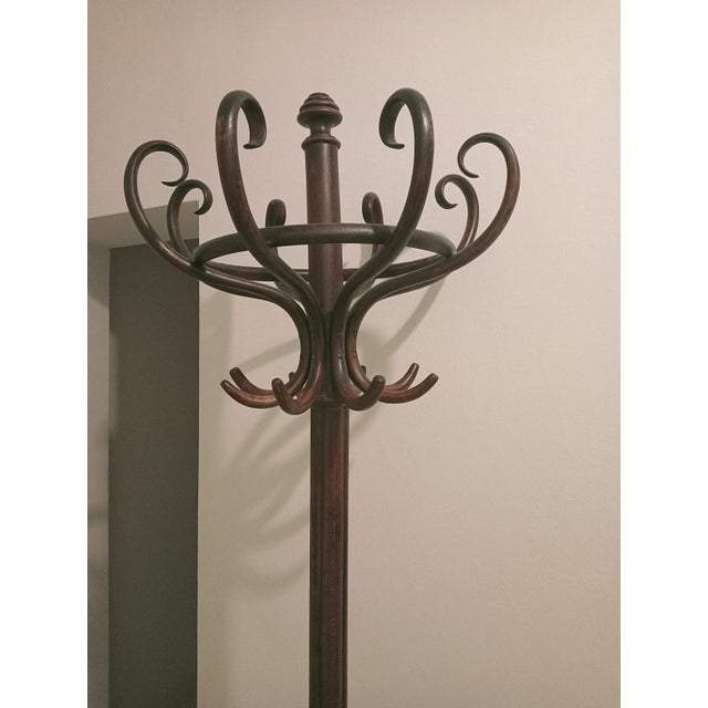 Early 20th Century Antique Bentwood Coat Rack, Attributed to Thonet, Circa 1900 For Sale - Image 5 of 6