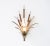 This cattail wall lamp can be attributed to Maison Jansen in Paris. It is made in the 1970s. This decorative wall lamp is...