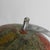 Rath Globe of Papier-Mâché on a Wooden Base, 1960s For Sale - Image 14 of 18