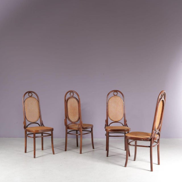 Long John Chairs from FMG, Poland, 1950s, Set of 4 For Sale - Image 4 of 9