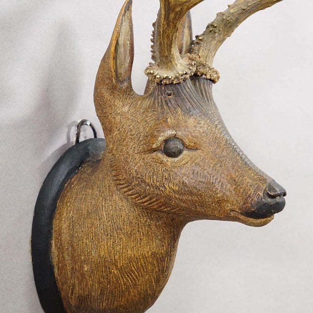 1930s Large Naturalistic Black Forest Carved Deer Head, Ca. 1930s For Sale - Image 5 of 6