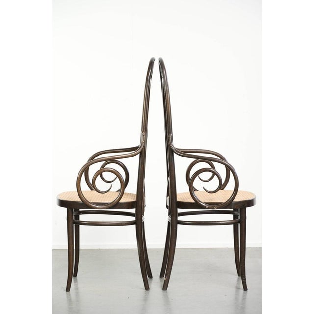 Vintage Long John High Back Armchairs in Curved Wood with Cane Seats from Thonet, Set of 2 For Sale - Image 4 of 13