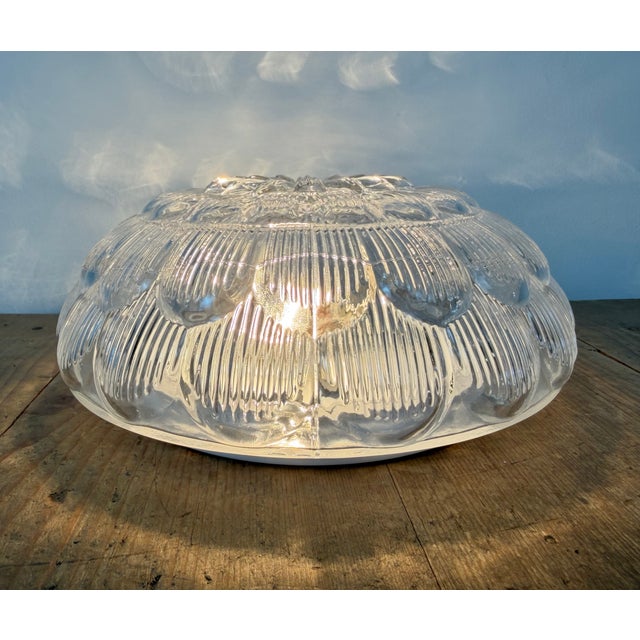Vintage Glass Wall Light, 1970s For Sale - Image 13 of 17