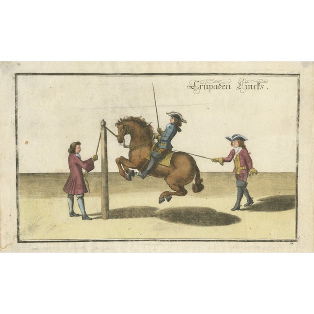 William Cavendish, Levade Horse Training, 1700s, Engraving For Sale