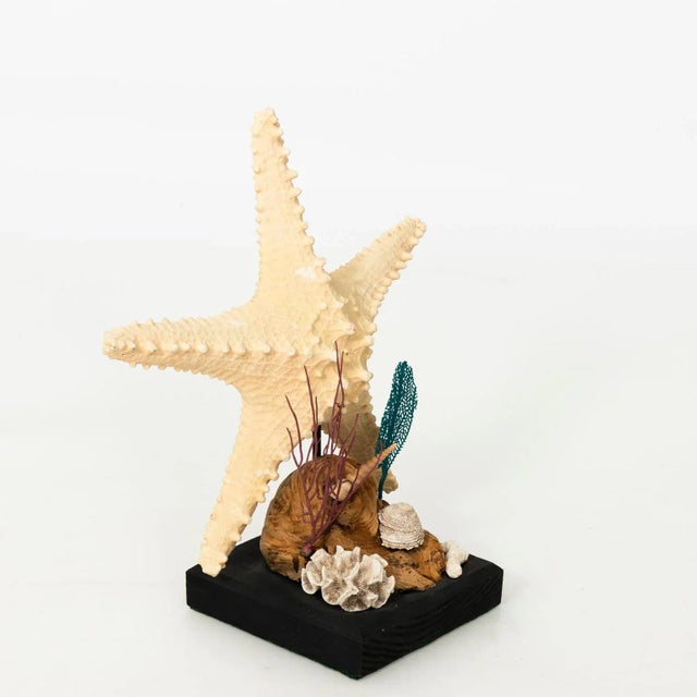 Decorative nautical shell display with coral and starfish on a wood stand, circa 20th century.