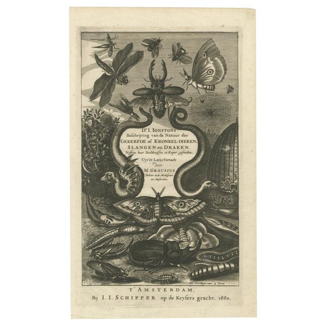 Jan Jonston, Natural History Title Page, Insects & Serpents, Amsterdam. 1660, Paper For Sale - Image 10 of 10