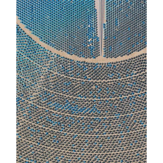 "AV_Solar_Plants_012" Contemporary Limited Edition Fine Art Photograph by Bernhard Lang For Sale