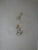 Hans BELLMER The Equilibrists Original engraving Signed in pencil and numbered by the artist On Arches Vellum Dimensions:...