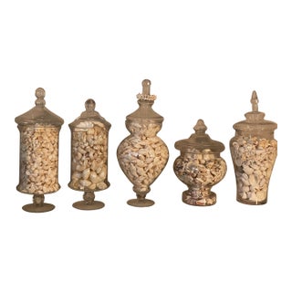 Vintage Large Glass Jars With Sea Shells For Sale