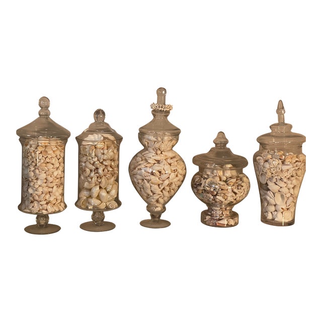 Vintage Large Glass Jars With Sea Shells For Sale