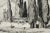 Illustration Early 20th Century Small Antique Charcoal Landscape Drawing of "Cemetiere D'Argilliers" With Mat. Signed by French Artist Maurice De Lambert. For Sale - Image 3 of 6