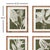 Contemporary Translucent Stem Prints, Set Of 4 For Sale - Image 3 of 3