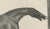 After Chalon, Muly Moloch Sporting Horse, Lithograph, 1840 For Sale - Image 7 of 9