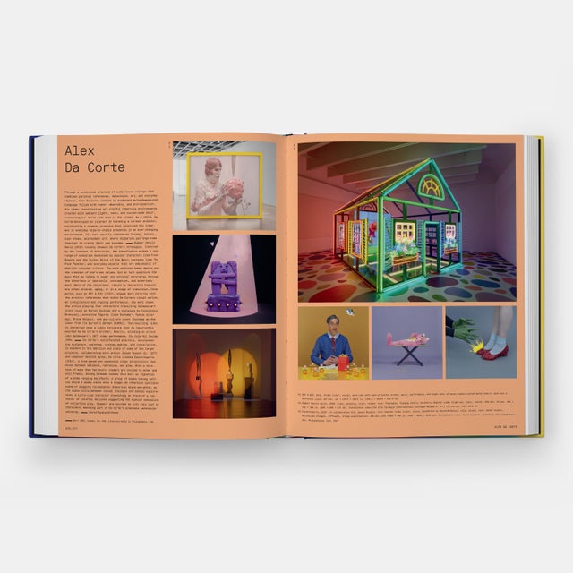 Paper Vitamin V Video and the Moving Image in Contemporary Art Book For Sale - Image 7 of 10