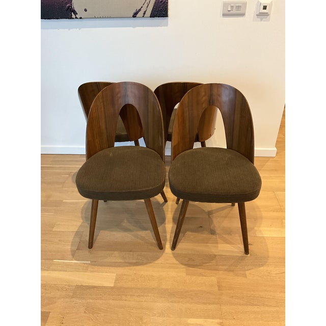 Dining Chairs by Antonín Šuman, 1966, Set of 4 For Sale - Image 9 of 13