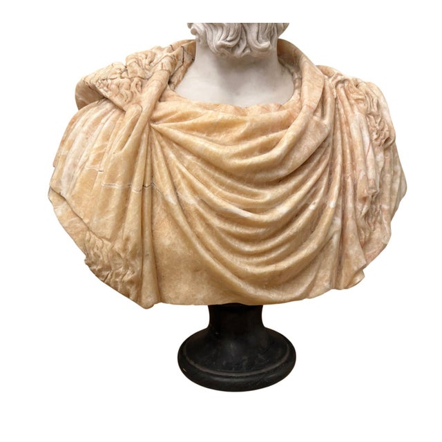 Bust of Roman Emperor Septimius Severus on Black Marble Base. Italy 20th Century For Sale - Image 4 of 10