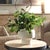 Contemporary Essence Eucalyptus Accent & Vase For Sale - Image 3 of 7