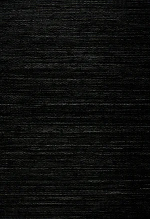 Sample - Schumacher Onna Sisal Wallpaper in Black