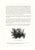 Realism Large 1973 Orchid Flower Lithograph "Epidendrum Stamfordianum" (Lord Stamford's Epidendrum) After James Bateman For Sale - Image 3 of 7
