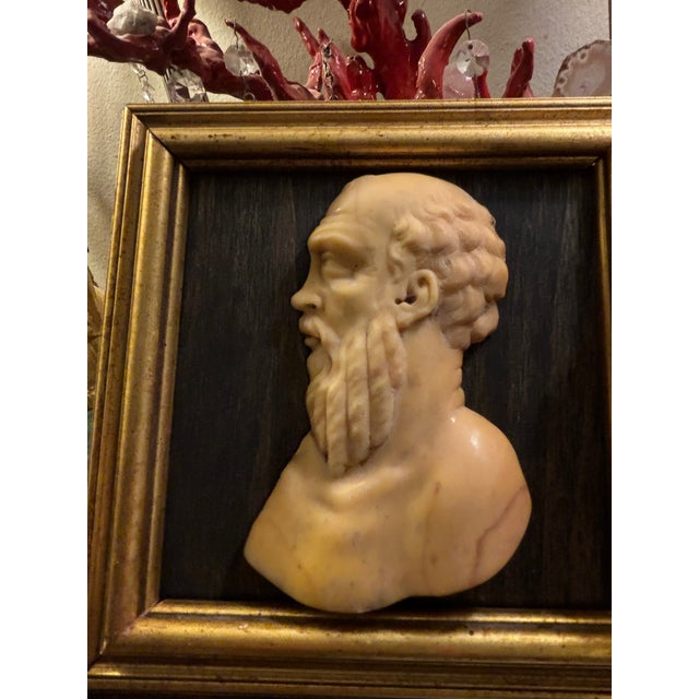 Early 19th Century Italian Grand Tour Siena Marble Relief Portrait of the Ancient Greek Philosopher Socrates For Sale - Image 4 of 12