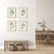 Kenneth Ludwig Chicago Olive Stems Study, Set Of 4 For Sale - Image 4 of 4