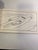 Vittorio's Dog Book For Sale - Image 12 of 14