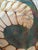 Fornace Ferro Murano Style Art Glass Bowl in the Shape of a Sea Shell For Sale - Image 14 of 18