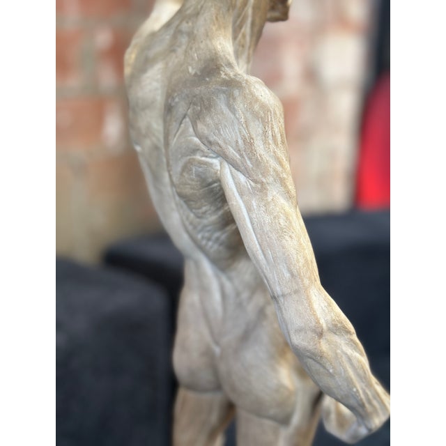 Mid-Century Modern Anatomical Cast, Italy 90s For Sale - Image 3 of 12