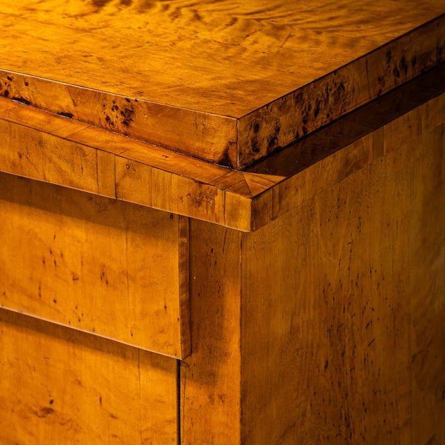 Biedermeier Chest of Drawers in Birch, Northern Germany, 1820 For Sale - Image 10 of 11