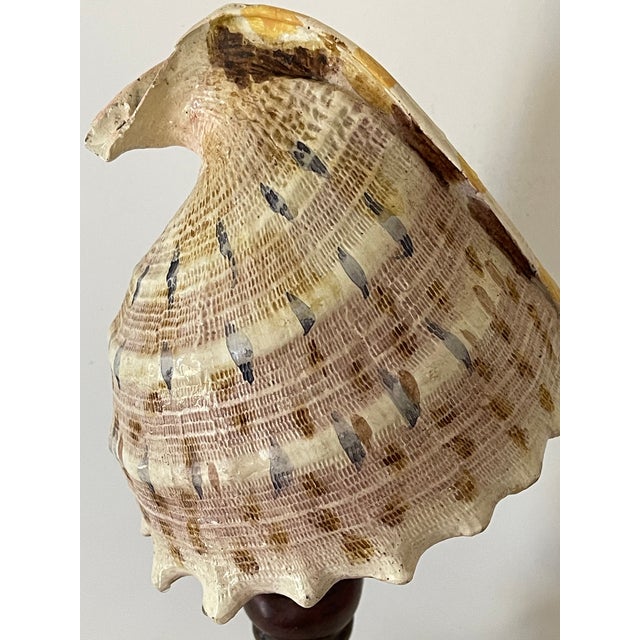 1960s Vintage Faux Sea Shell Handpainted on Wood Stand For Sale - Image 5 of 6