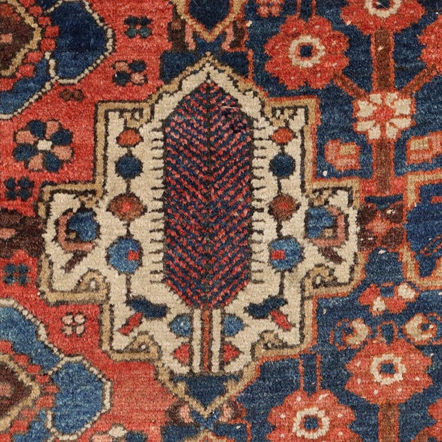 Bakhtiar Cotton & Wool Heavy Knot Rug For Sale - Image 4 of 12