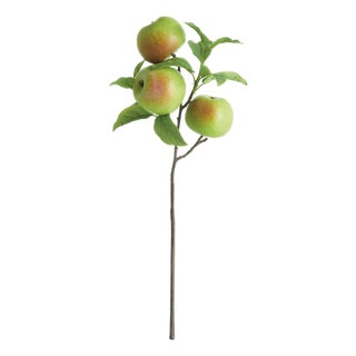 Apple Branches 20" St/4 For Sale