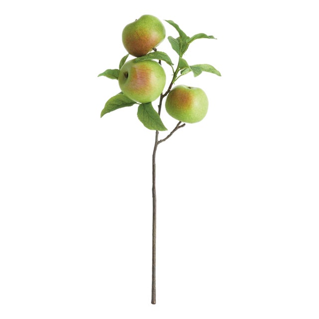 Apple Branches 20" St/4 For Sale