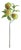 Apple Branches 20" St/4 For Sale