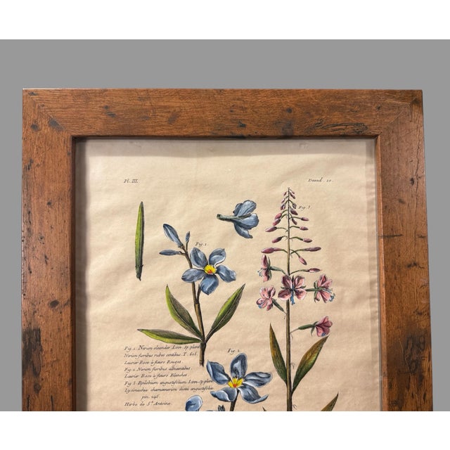 Antique Custom Rustic Country Framed Botanical Flower Print In very nice condition showing some typical age-appropriate...