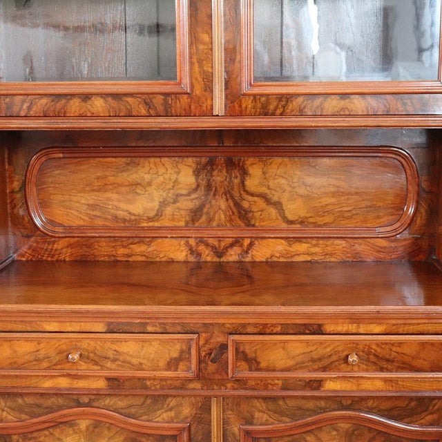 Antique Cupboard in Walnut Briar, 1800s For Sale - Image 10 of 18