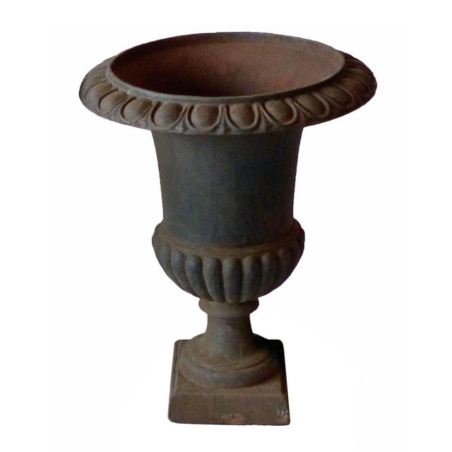 Garden Urns Campagna Form - Set of Three For Sale - Image 4 of 5