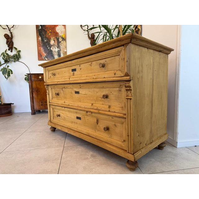 Antique Biedermeier Chest of Drawers with Drawers For Sale - Image 3 of 13