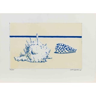 Gino Guida, Shells, Etching, 1968 For Sale