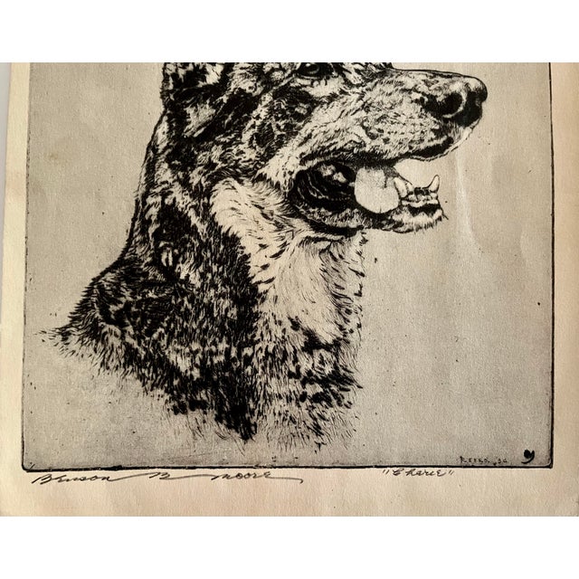 Figurative Vintage Original Etching of a German Shepherd Dog by Benson Moore For Sale - Image 3 of 6