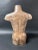 Late 19th Century Carved Large Solid Wood Paper Mache Mold Female Torso Sculpture For Sale In New York - Image 6 of 7