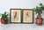 Vintage Mexican feather art wall hangings, also known as "Feathercraft". Hand-painted flowers, birds made with real bird...