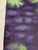 Paper Gordon Mortensen "Beach Flowers" Signed Numbered Woodcut Art Print, For Sale - Image 7 of 7