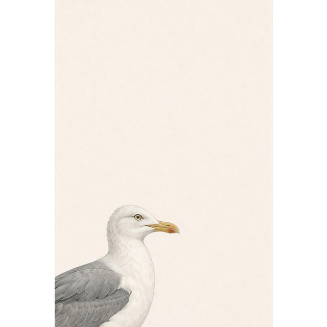 Paper Coastal Seagull Study, Neutral Bird Wall Art Print, 24″ × 36″ Reproduction For Sale - Image 7 of 10